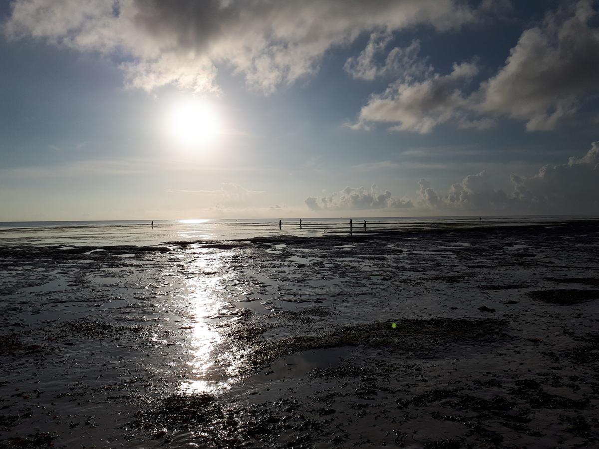 African Sun Sea &